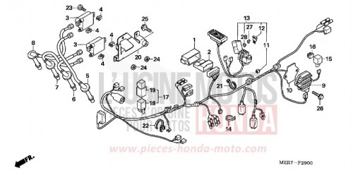 WIRE HARNESS (CBF600S6/SA6) CBF600SA6 de 2006